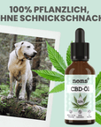 10% CBD Tropfen für Hunde 10ml