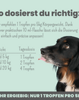 10% CBD Tropfen für Hunde 10ml