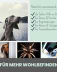 10% CBD Tropfen für Hunde 10ml