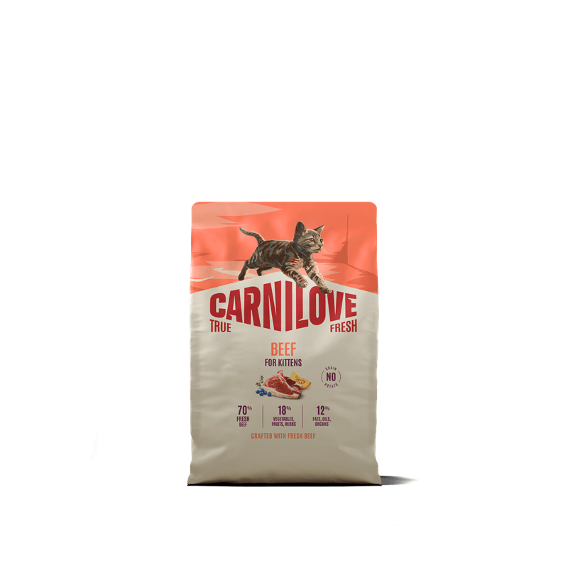 Carnilove Cat TrueFresh Kitten - Beef, Trockenfutter
