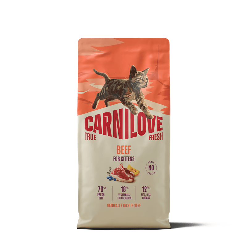 Carnilove Cat TrueFresh Kitten - Beef, Trockenfutter