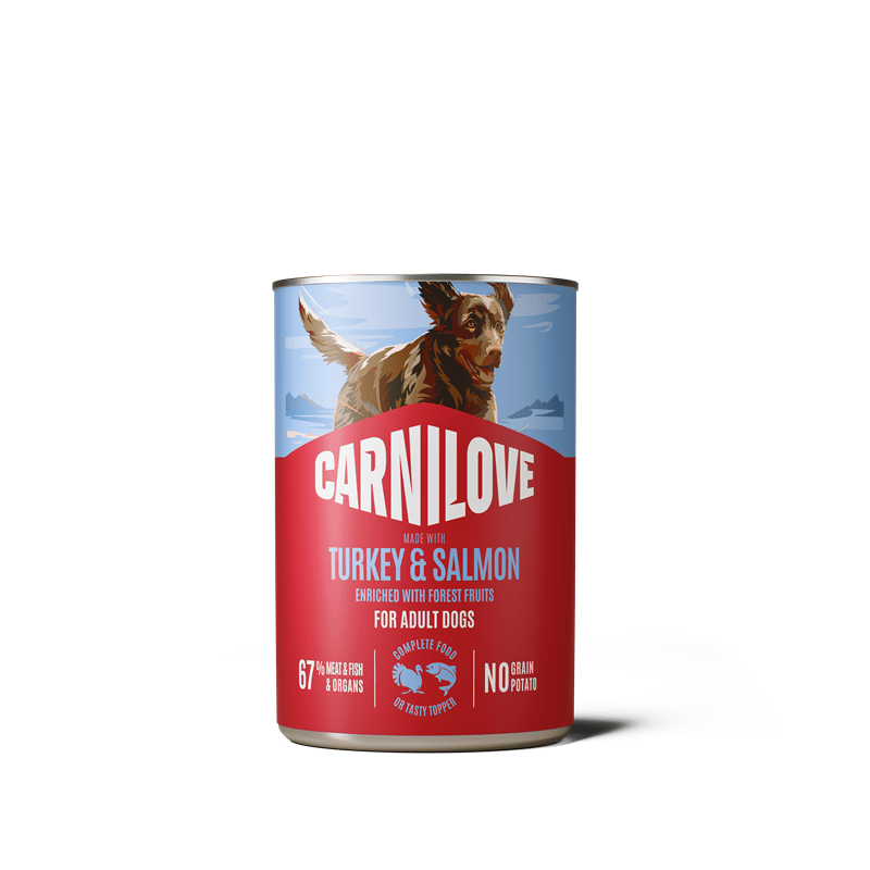 Carnilove Dog Dose Paté Adult - Salmon & Turkey, Nassfutter