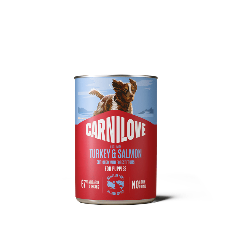 Carnilove Dog Dose Paté Puppy - Salmon & Turkey, Nassfutter