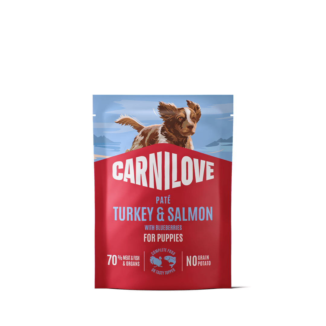 Carnilove Puppy Paté Pute und Lachs für Hunde, 12 x 300 g