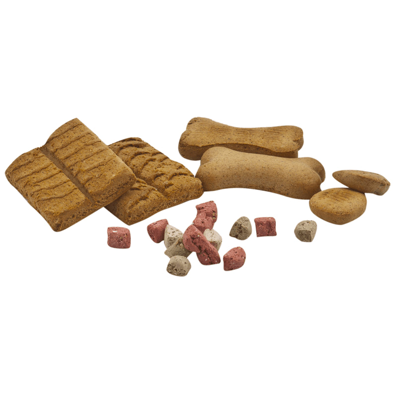 Classic Hunde Snack Backwaren Mix im Eimer assorted baked dog treats bone and rectangular shapes