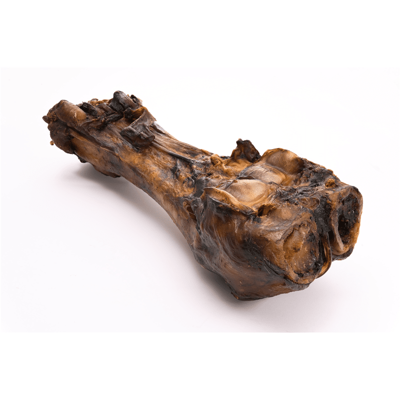 Classic dried calf shank bone dog snack, dark brown natural treat with rough texture