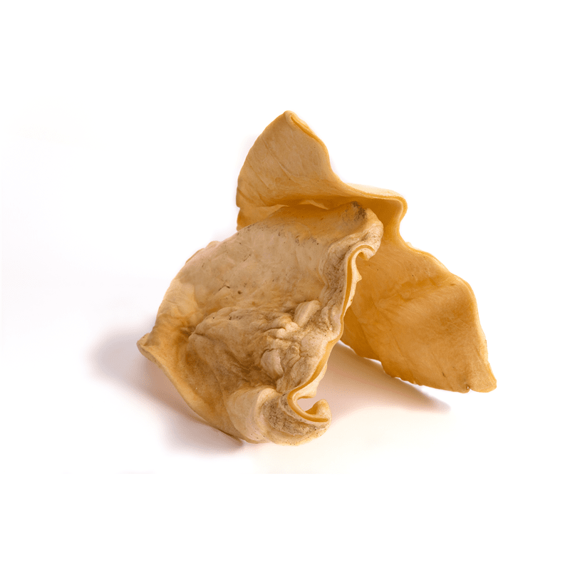 Classic dried beef dog ear snack light tan leathery texture