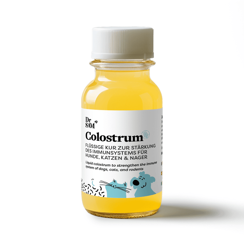 Colostrum - Kur zur Stärkung des Immunsystems, Flüssigkeit