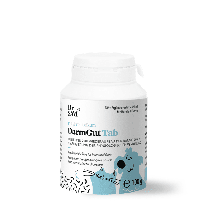 Dr. SAM DarmGut Tab, Tabletten