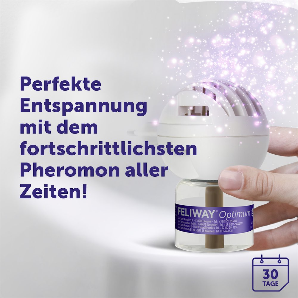 Feliway Optimum Start-Set Verdampfer mit Flakon