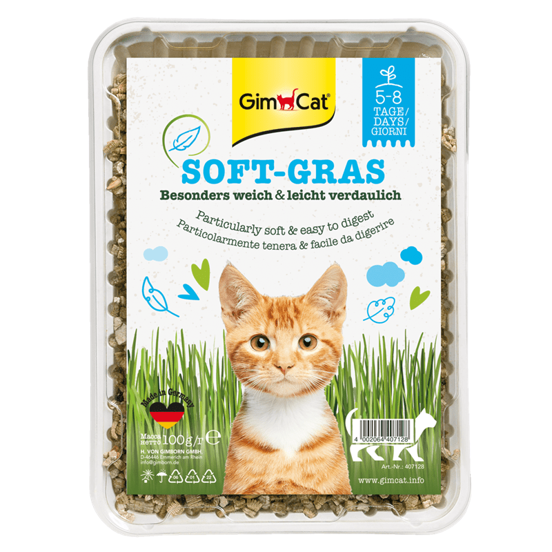 GimCat Softgras Katzengras aus kontrolliertem Feldanbau, 100-g-Schale