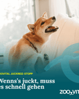 Hund beim Kratzen am Ohr neben zooVital Juckreiz-Stopp