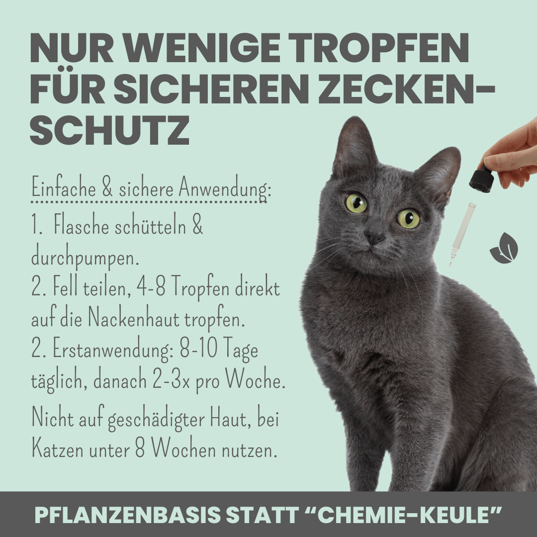 noms+ Zpot-on für Katzen gegen Zecken, Flöhe, Milben &amp; Mücken [Jahresvorrat]