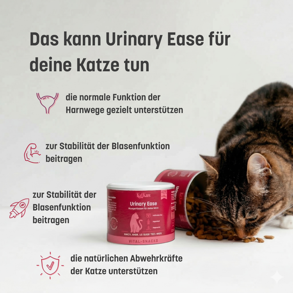 Urinary Ease – Produktbild 5