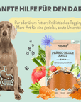 noms+ Präbio Belly Akut: pflanzenbasierte Darmkur für Hunde nach Moro-Art - Ready to eat