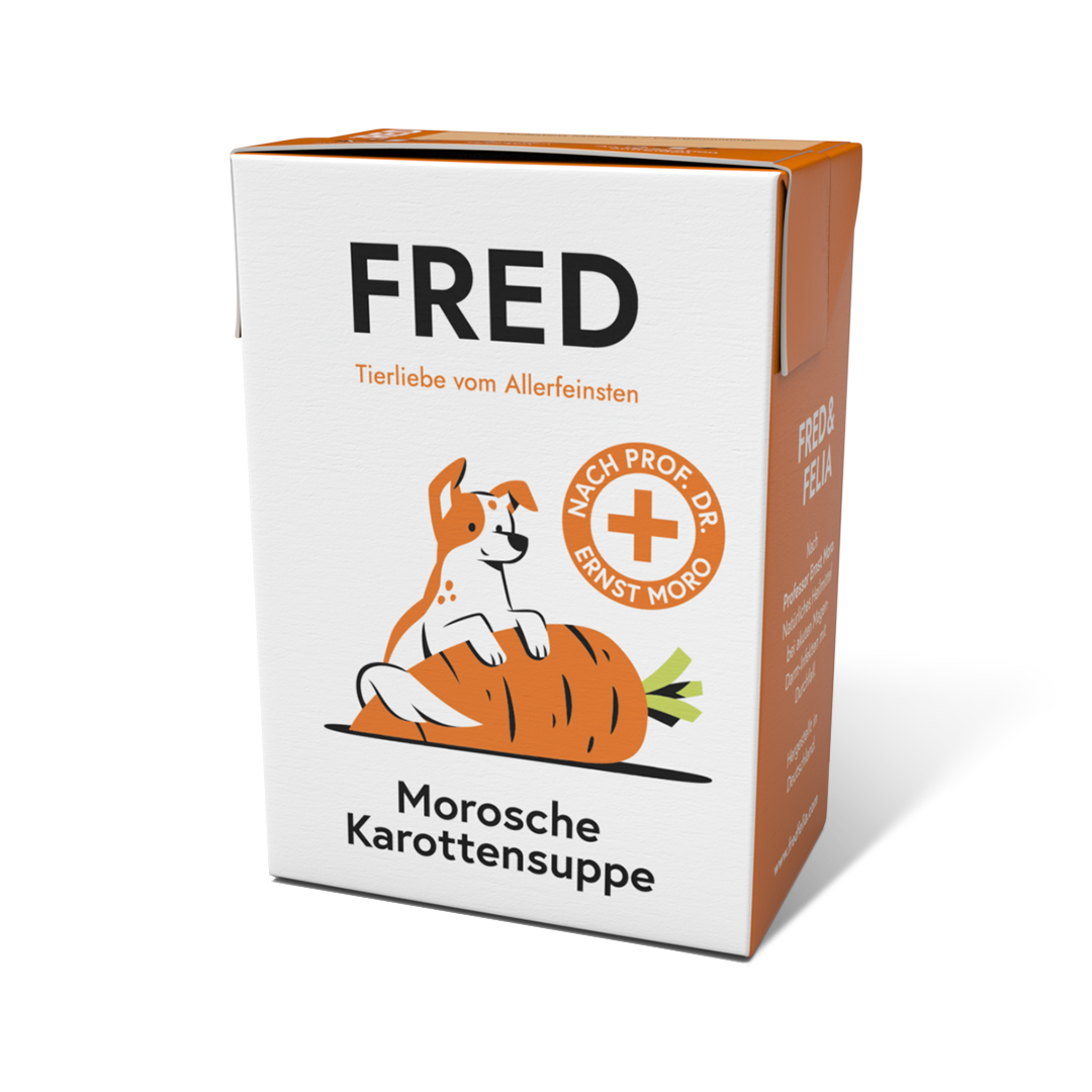 FRED Morosche Karottensuppe Ergänzungsfutter für Hunde, einzelner 200 g Tetra Pak