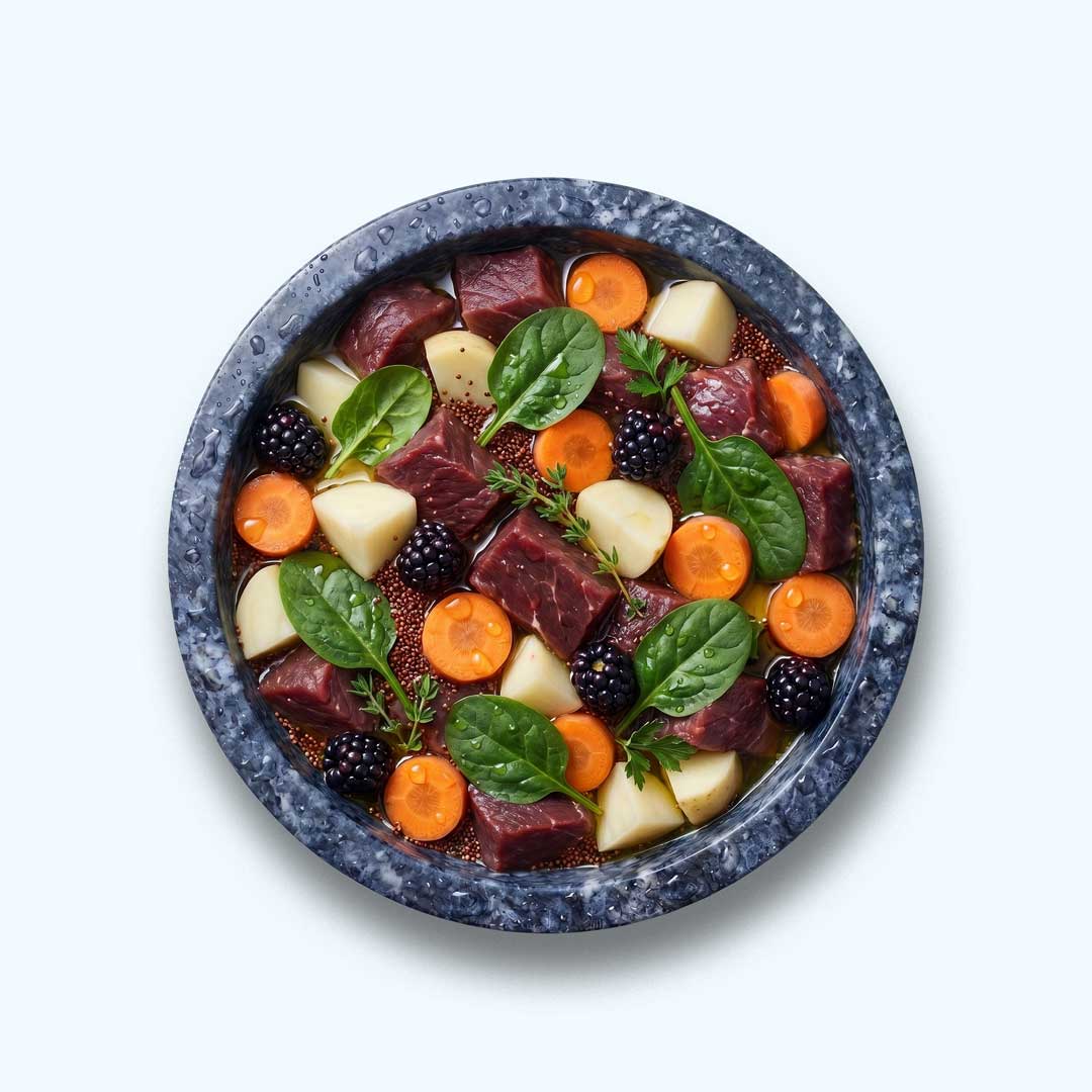Nassfutter Rind