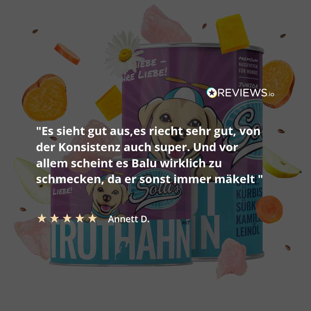 Nassfutter Truthahn
