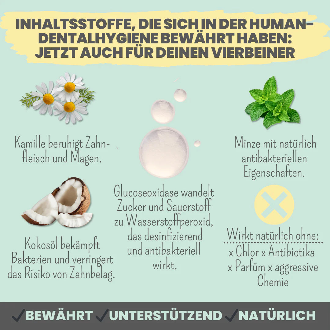 Noms+ Enzymodent Zahnpasta für Hunde