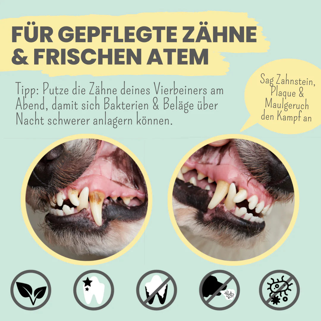 Noms+ Enzymodent Zahnpasta für Hunde