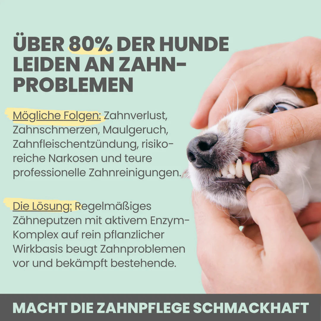 Noms+ Enzymodent Zahnpasta für Hunde