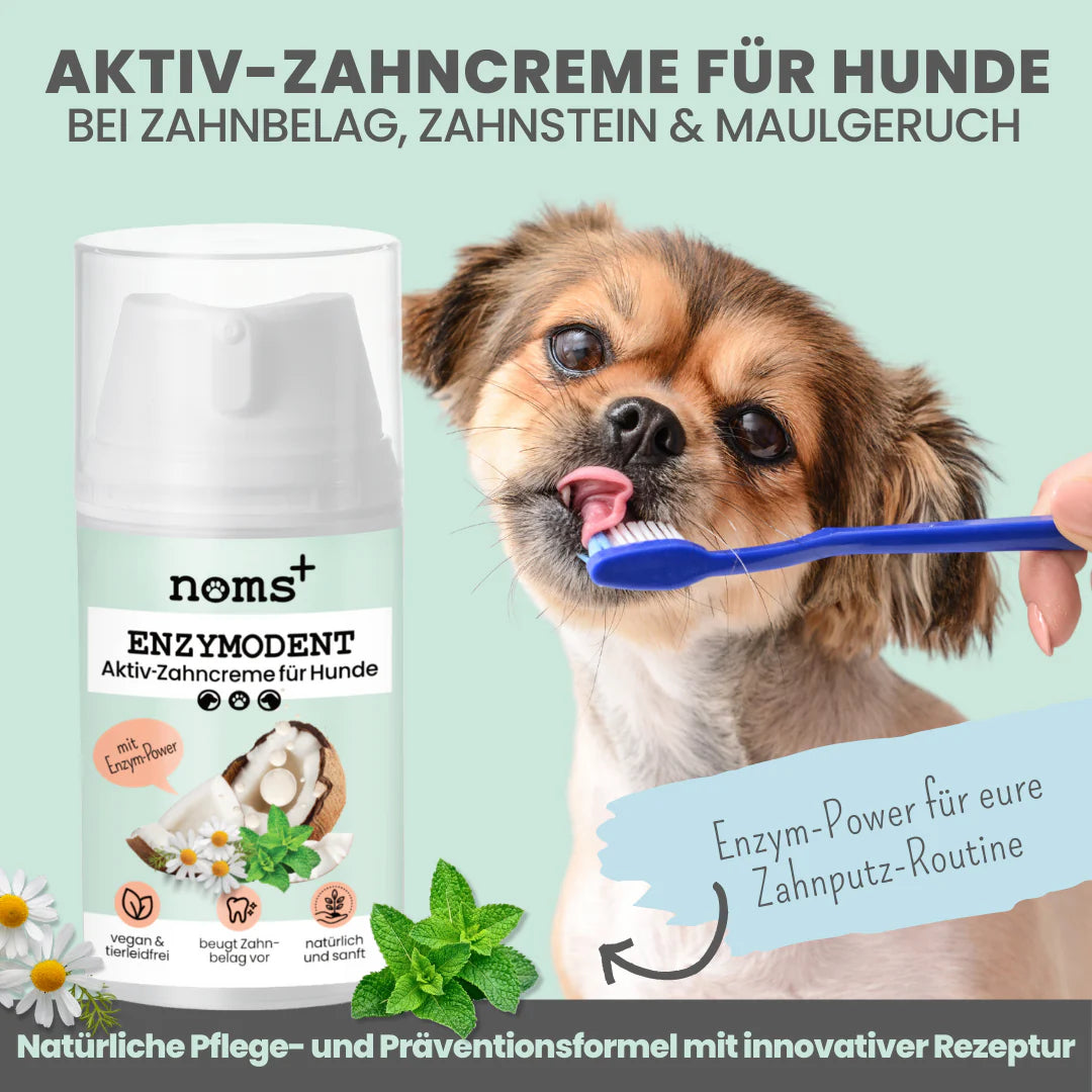 Noms+ Enzymodent Zahnpasta für Hunde