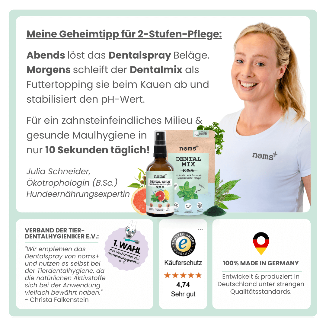noms+ Dentalspray bei Zahnstein für Hunde und Katzen [Jahresvorrat]