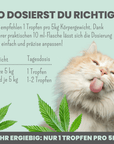 noms+ 3% CBD Tropfen für Katzen und kleine Hunde 10ml