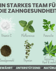 noms+ Dentalmix für Hunde zur Zahnpflege und für frischen Atem