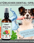 noms+ Dentalspray bei Zahnstein für Hunde und Katzen [Jahresvorrat]