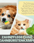 noms+ Dentalspray bei Zahnstein für Hunde und Katzen [Jahresvorrat]
