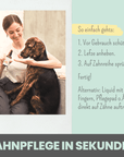 noms+ Dentalspray bei Zahnstein für Hunde und Katzen [Jahresvorrat]