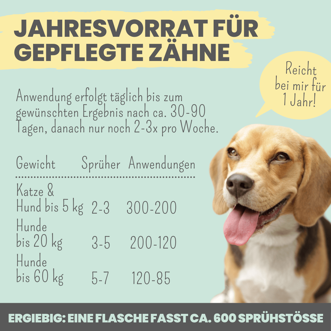 noms+ Dentalspray bei Zahnstein für Hunde und Katzen [Jahresvorrat]