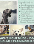 noms+ Wohlfühlsnacks für Hunde bei Stress, Angst, Unruhe & Hyperaktivität