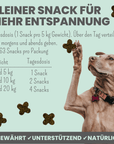 noms+ Wohlfühlsnacks für Hunde bei Stress, Angst, Unruhe & Hyperaktivität