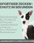 Artikel mit dem Namen Zpray für Hunde gegen Zecken, Flöhe, Milben & Mücken im Shop von zoo.de , dem Onlineshop für nachhaltiges Hundefutter und Katzenfutter.