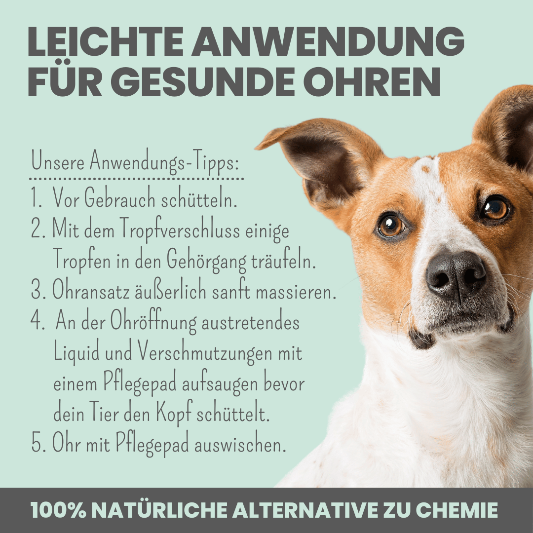 noms+ 2-in-1 Ohrfein Reinigung &amp; Pflege für Hunde &amp; Katzen mit kolloidalem Silber