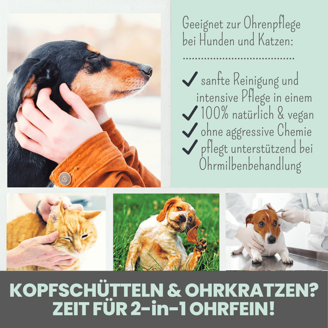 noms+ 2-in-1 Ohrfein Reinigung &amp; Pflege für Hunde &amp; Katzen mit kolloidalem Silber
