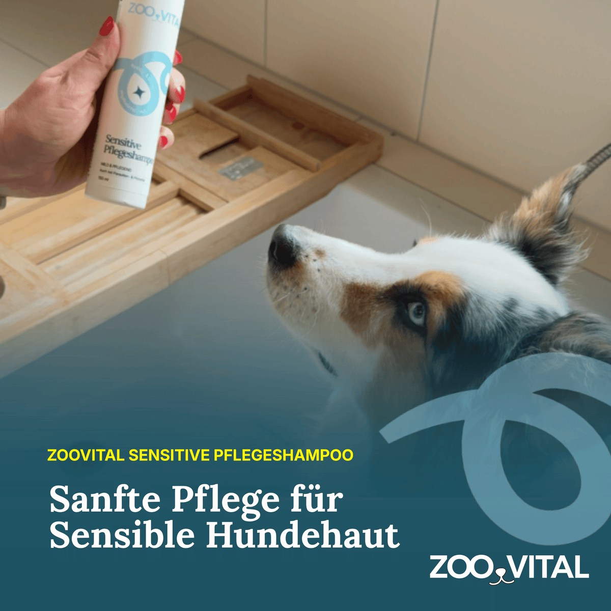 Hund bei der Fellwäsche mit zooVital Sensitive Pflegeshampoo