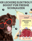 noms+ Hunde Smoothie-Bowl: Der fruchtig frische Elektrolyt-Booster