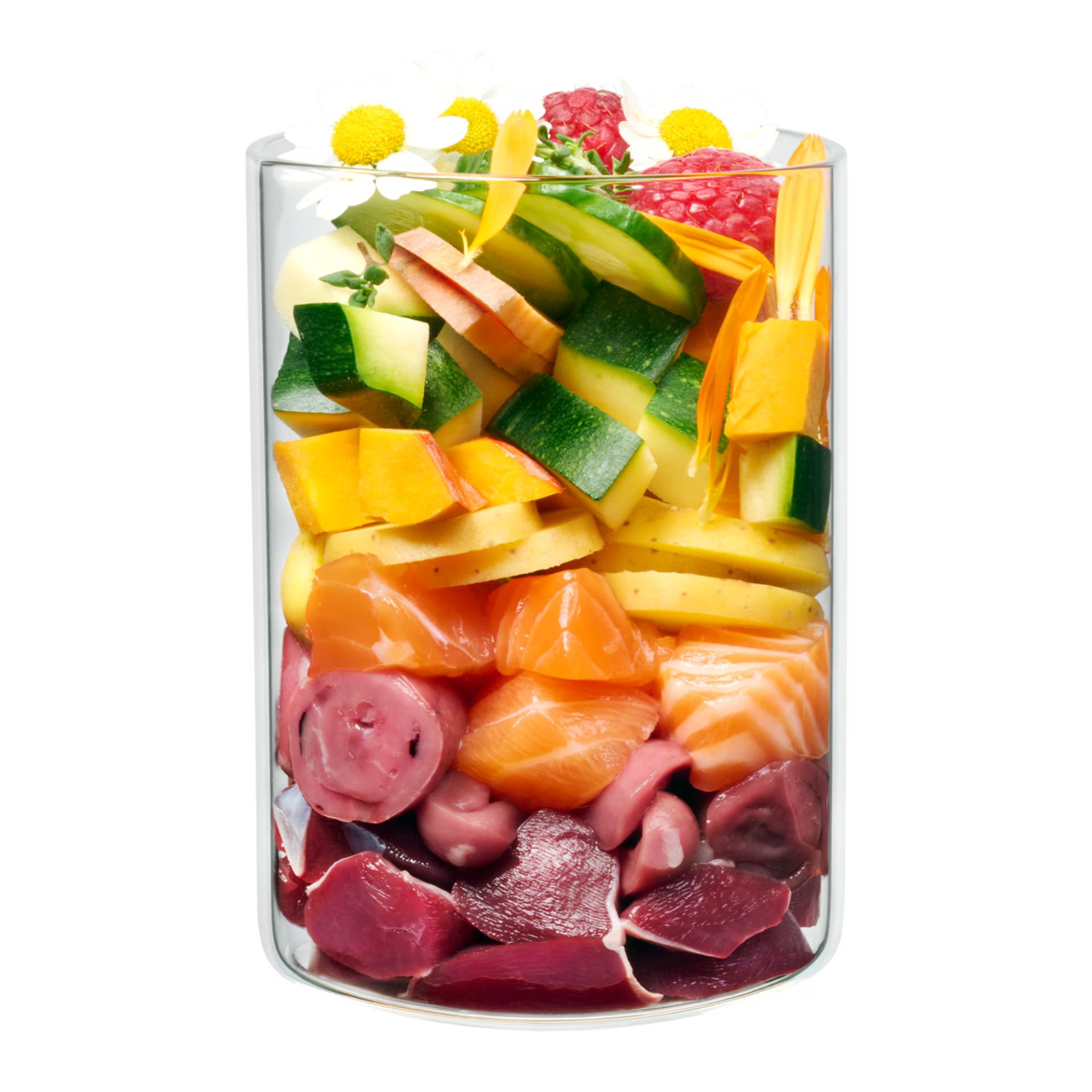 Terra Canis Derma Diät Huhn &amp; Lachs