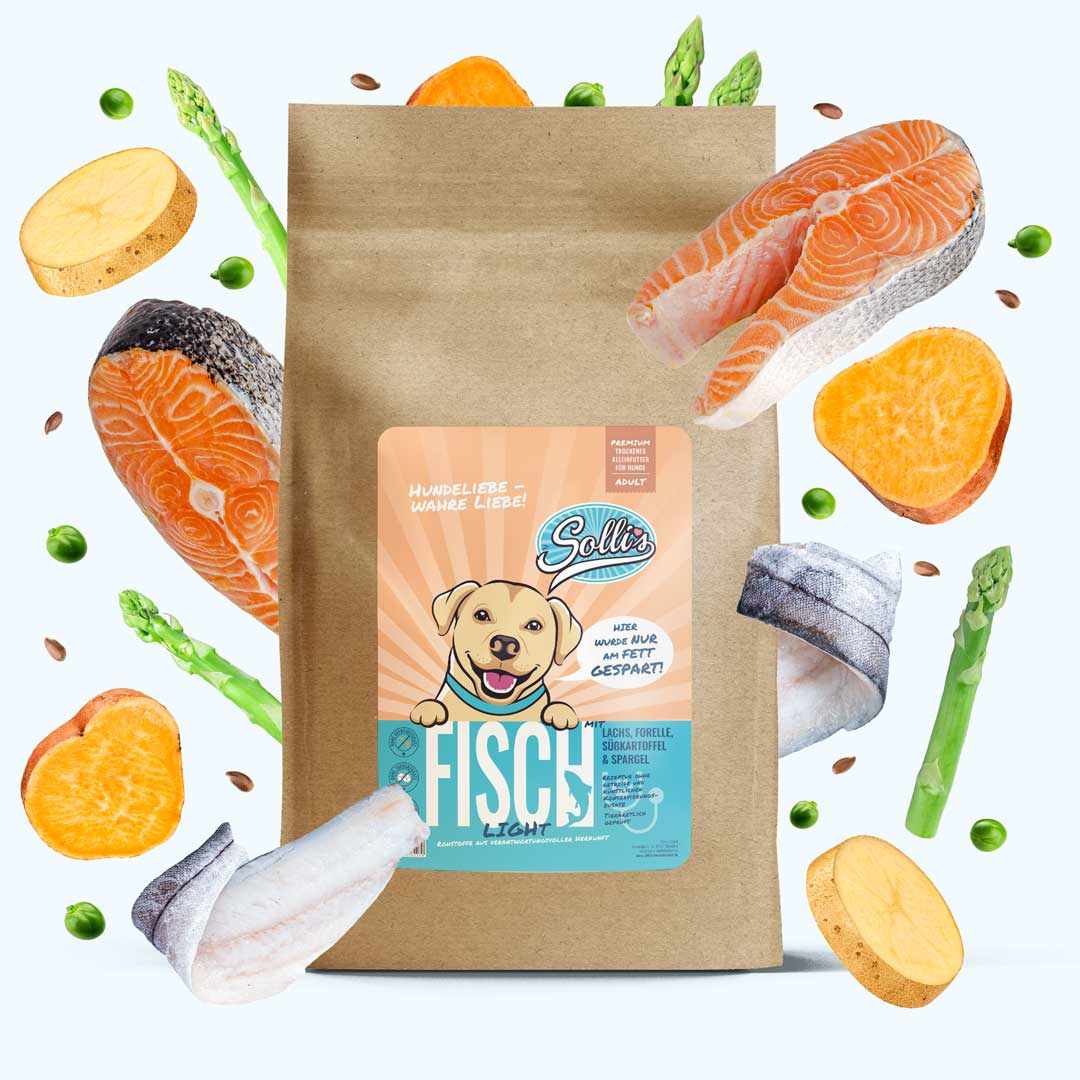 Fisch-Regular