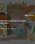 Lachs-Regular