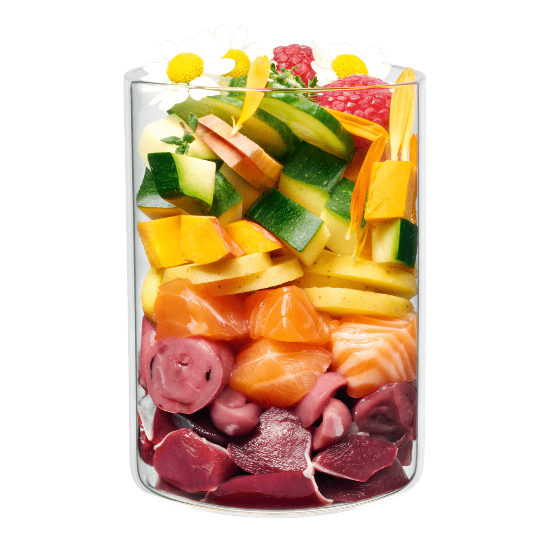 Terra Canis Derma Diät Huhn & Lachs, Nassfutter