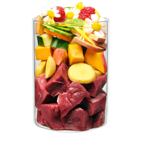Terra Canis Derma Diät Lamm, Nassfutter