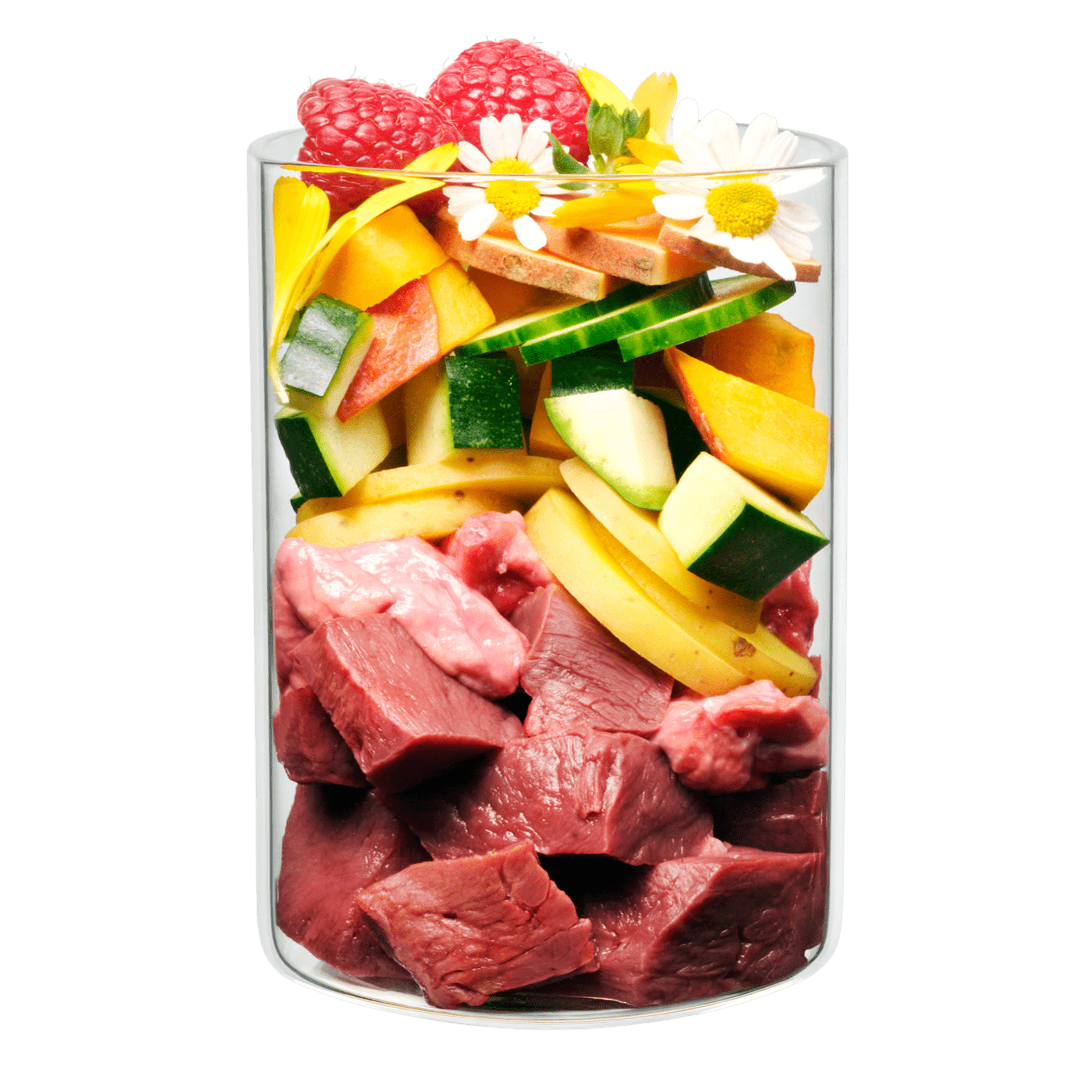 Terra Canis Derma Diät Rind, Nassfutter
