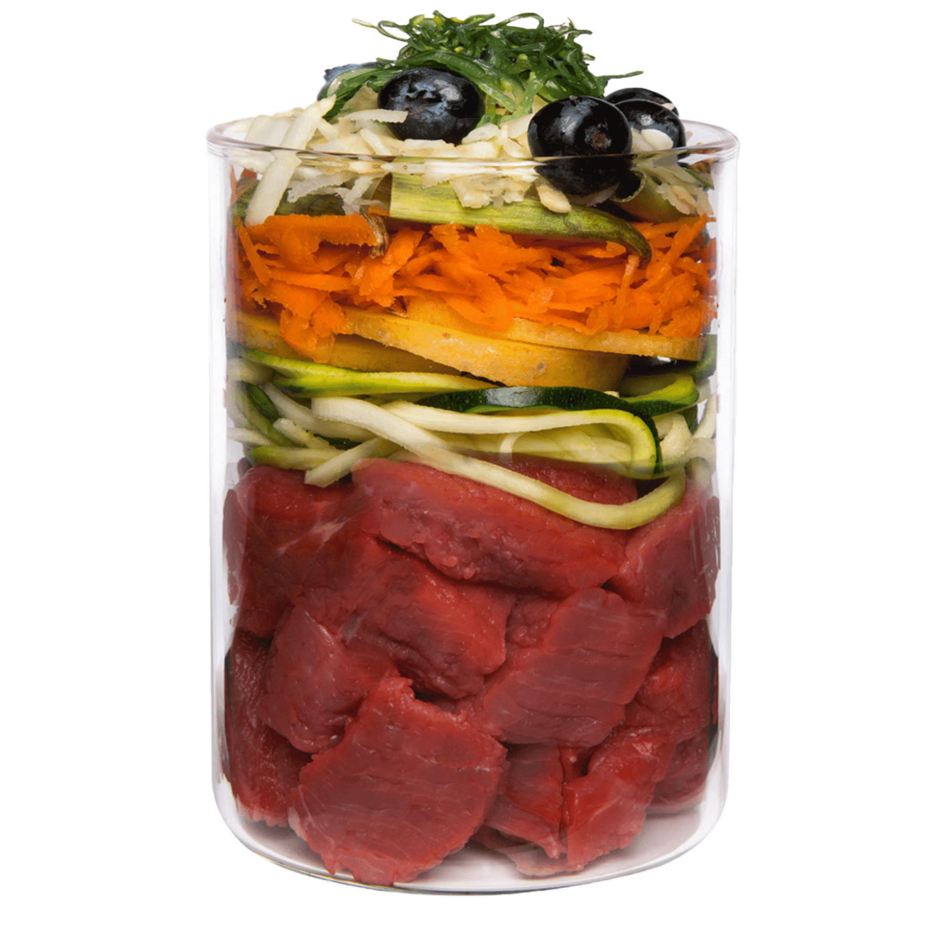Terra Canis diabetic dog food layers showing raw meat, zucchini, squash, carrots, cheese and blueberries