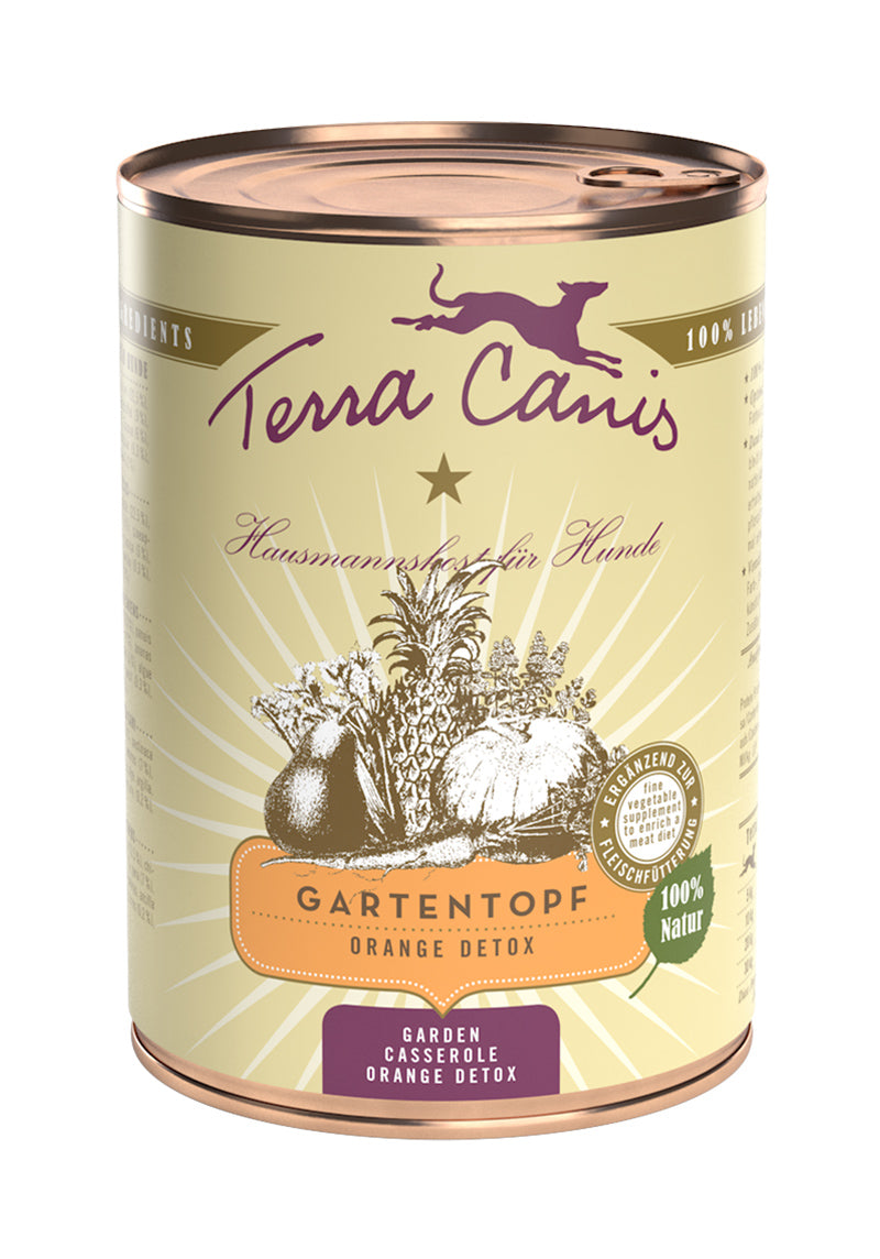 Terra Canis Gartentopf, Orange Detox