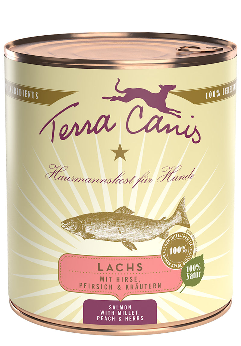 Terra Canis Lachs Classic mit Hirse, Pfirsich und Kräutern