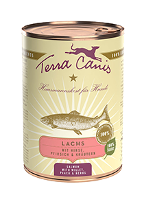 Terra Canis Lachs Classic mit Hirse, Pfirsich und Kräutern